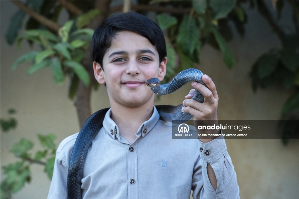 هاووڵاتییەکی پارێزگای دهۆک ٤٠ ساڵە مار بەخێو دەکات