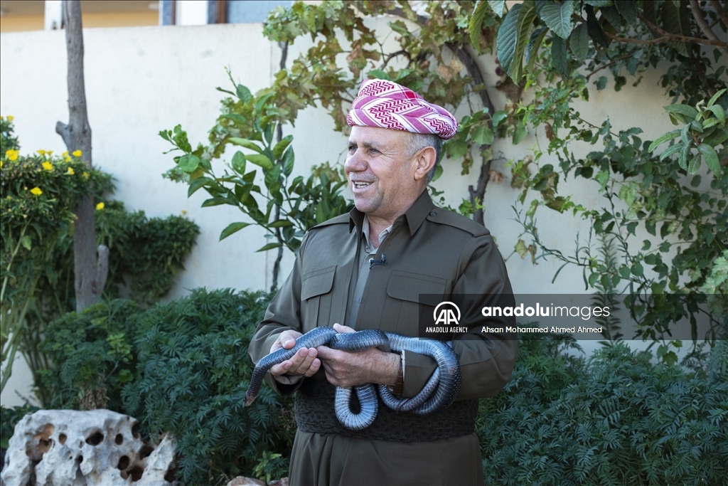 هاووڵاتییەکی پارێزگای دهۆک ٤٠ ساڵە مار بەخێو دەکات