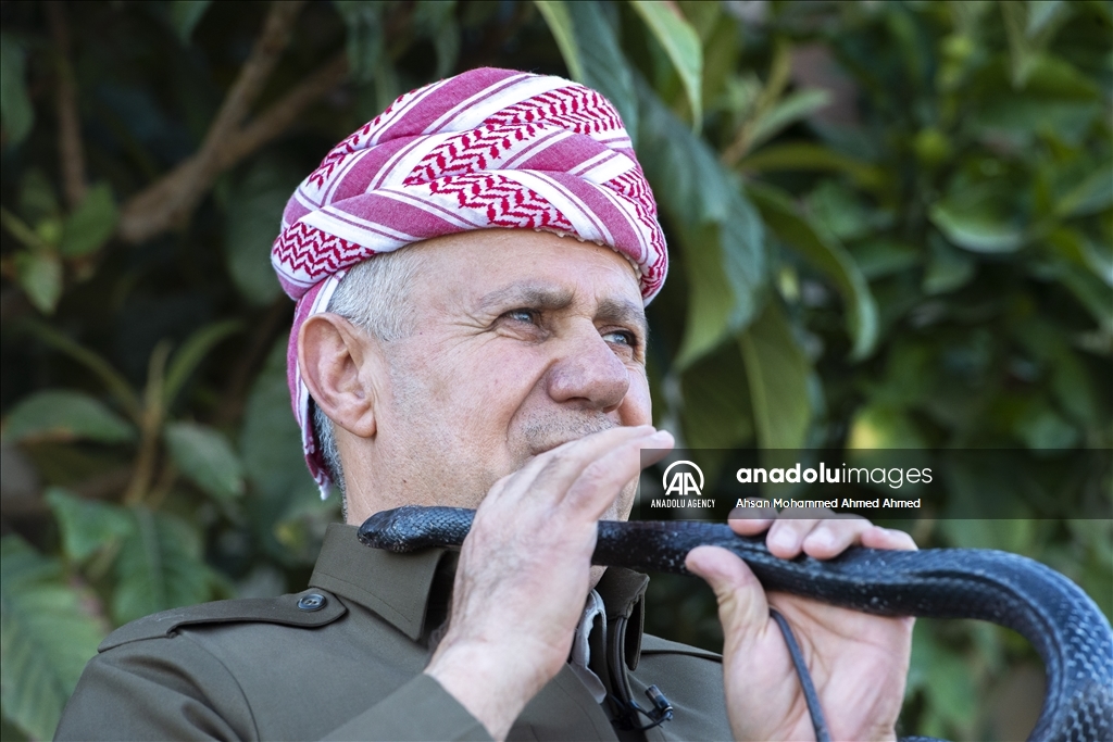 هاووڵاتییەکی پارێزگای دهۆک ٤٠ ساڵە مار بەخێو دەکات