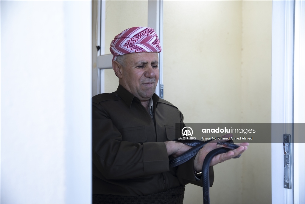 هاووڵاتییەکی پارێزگای دهۆک ٤٠ ساڵە مار بەخێو دەکات