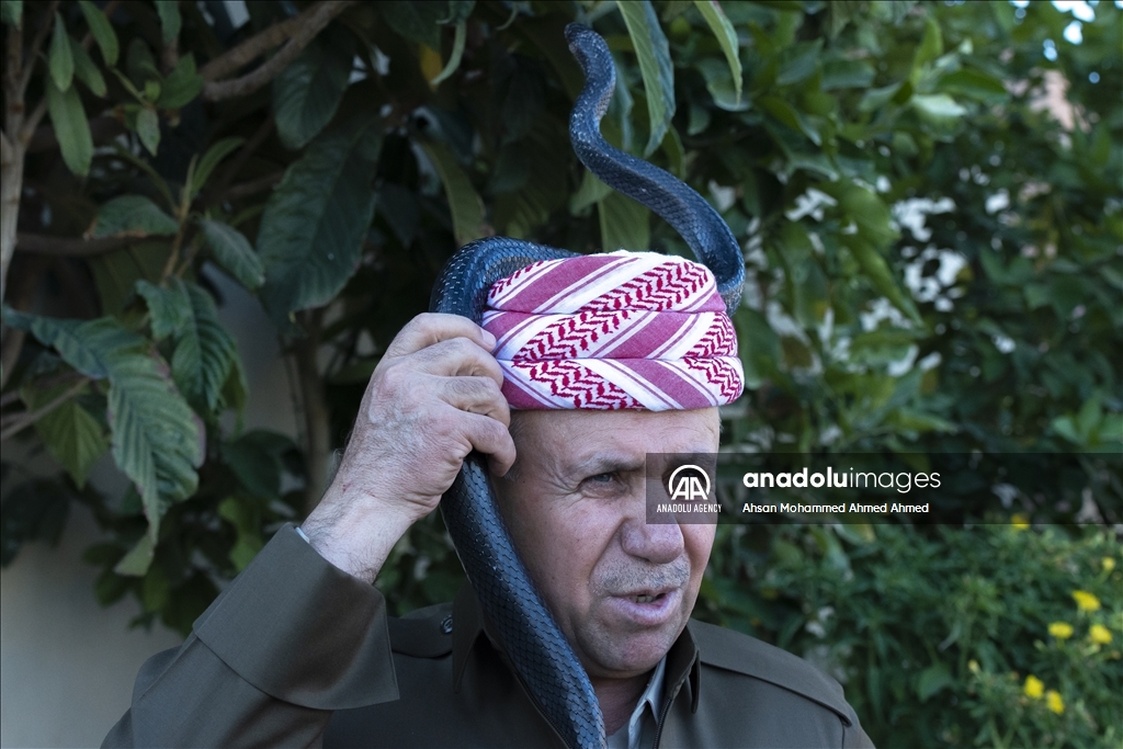 هاووڵاتییەکی پارێزگای دهۆک ٤٠ ساڵە مار بەخێو دەکات