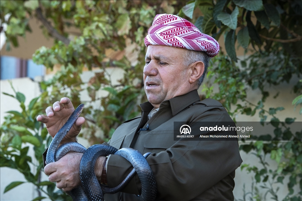 هاووڵاتییەکی پارێزگای دهۆک ٤٠ ساڵە مار بەخێو دەکات