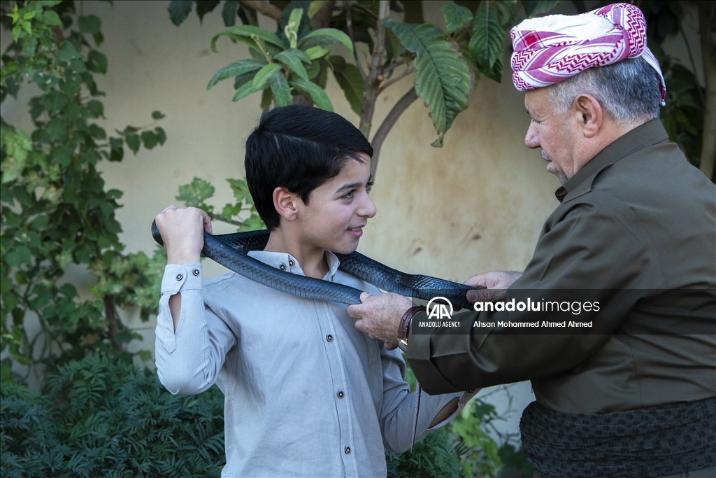 هاووڵاتییەکی پارێزگای دهۆک ٤٠ ساڵە مار بەخێو دەکات