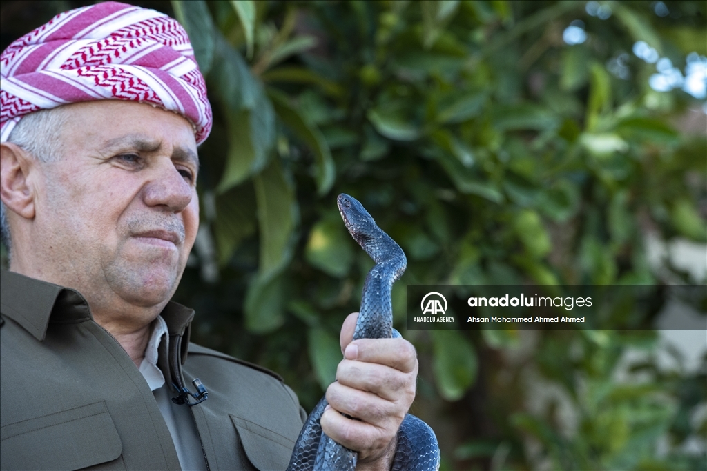 هاووڵاتییەکی پارێزگای دهۆک ٤٠ ساڵە مار بەخێو دەکات