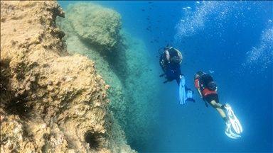 Mersin'deki Dana Adası'nda dalış turizmi yaygınlaşıyor