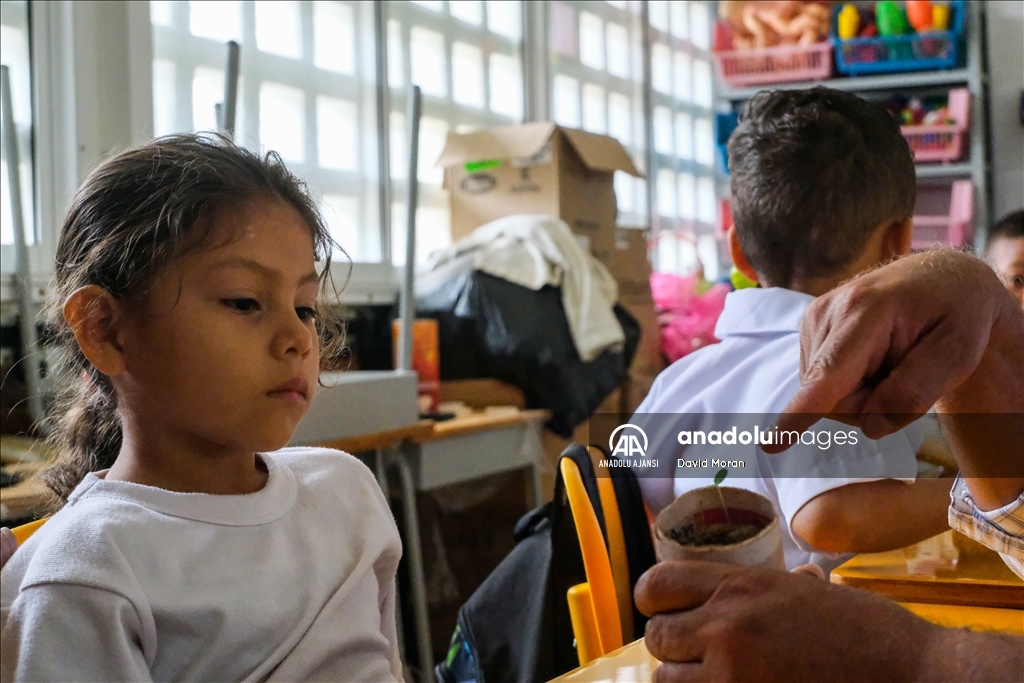 Kolombiya'da fasulye koleksiyonculuğu