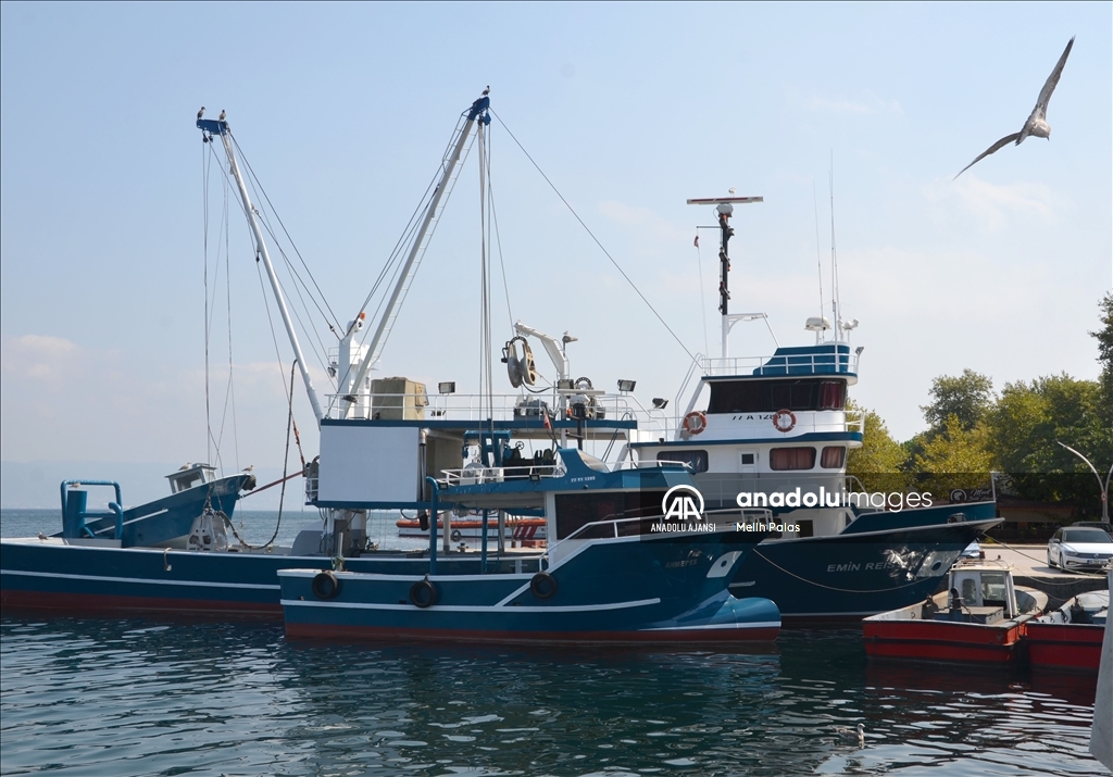 Kocaeli'de balıkçılar "vira bismillah" demek için gün sayıyor