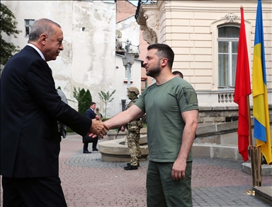 Эрдоган и Зеленский проводят переговоры во Львове