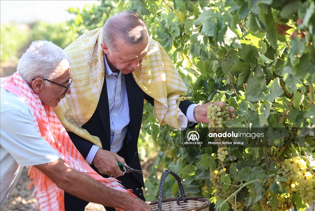 Cumhurbaşkanı Erdoğan, Manisa'da