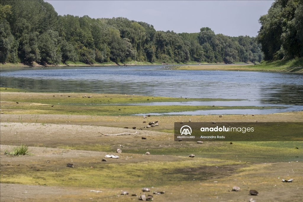 Romanya'daki Tuna Nehri'nde kuraklık nedeniyle su seviyesi düştü