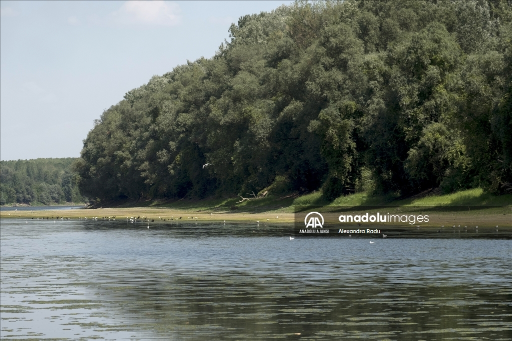 Romanya'daki Tuna Nehri'nde kuraklık nedeniyle su seviyesi düştü
