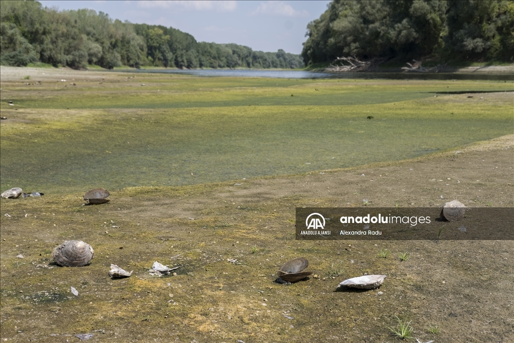 Romanya'daki Tuna Nehri'nde kuraklık nedeniyle su seviyesi düştü
