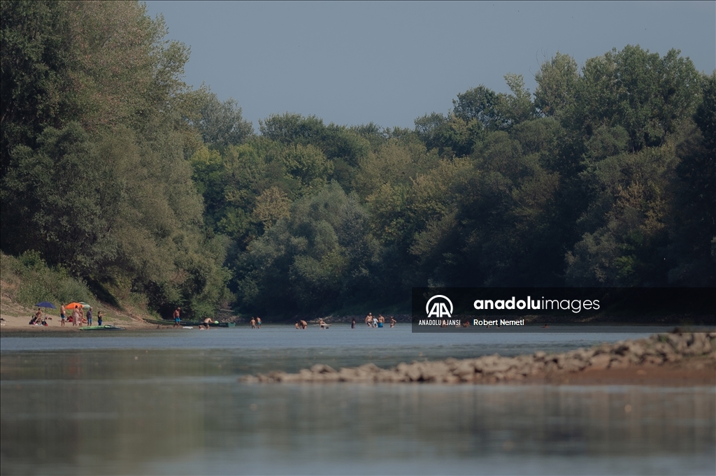 Slovakya'daki Tisza Nehri'nde kuraklık nedeniyle su seviyesi düştü