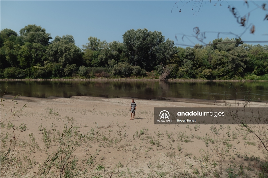 Slovakya'daki Tisza Nehri'nde kuraklık nedeniyle su seviyesi düştü
