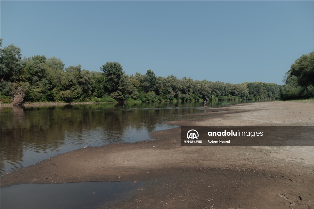 Slovakya'daki Tisza Nehri'nde kuraklık nedeniyle su seviyesi düştü