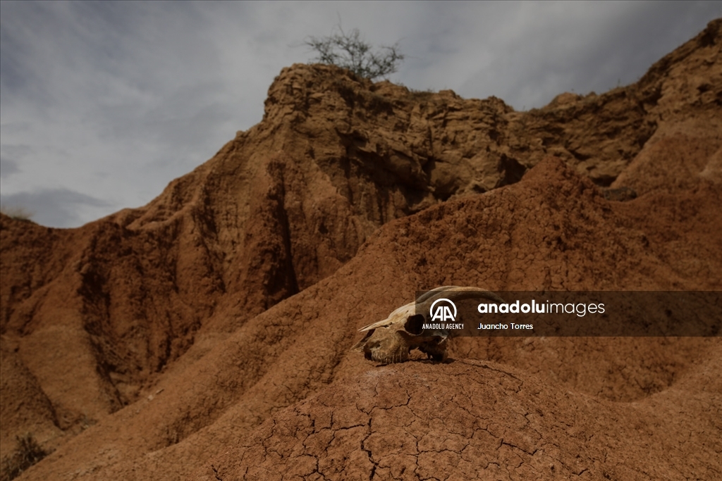 Colombia: Desierto de la Tatacoa, un jardín convertido en desierto