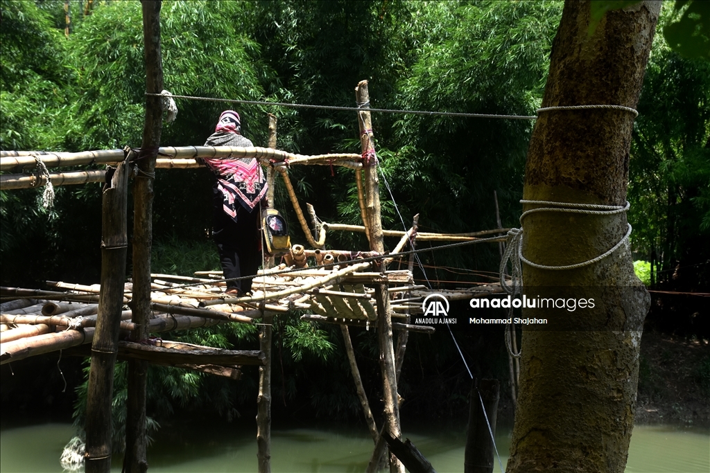 Bangladeş'teki tehlikeli bambu köprüsü
