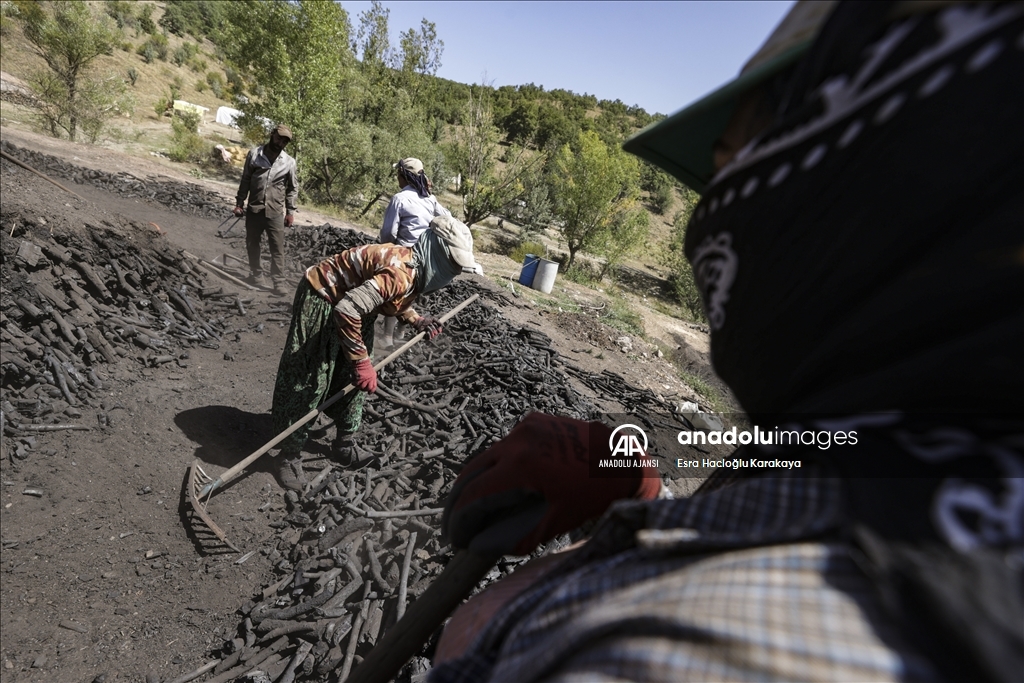 Torakçı kadınların mangal kömürü mesaisi