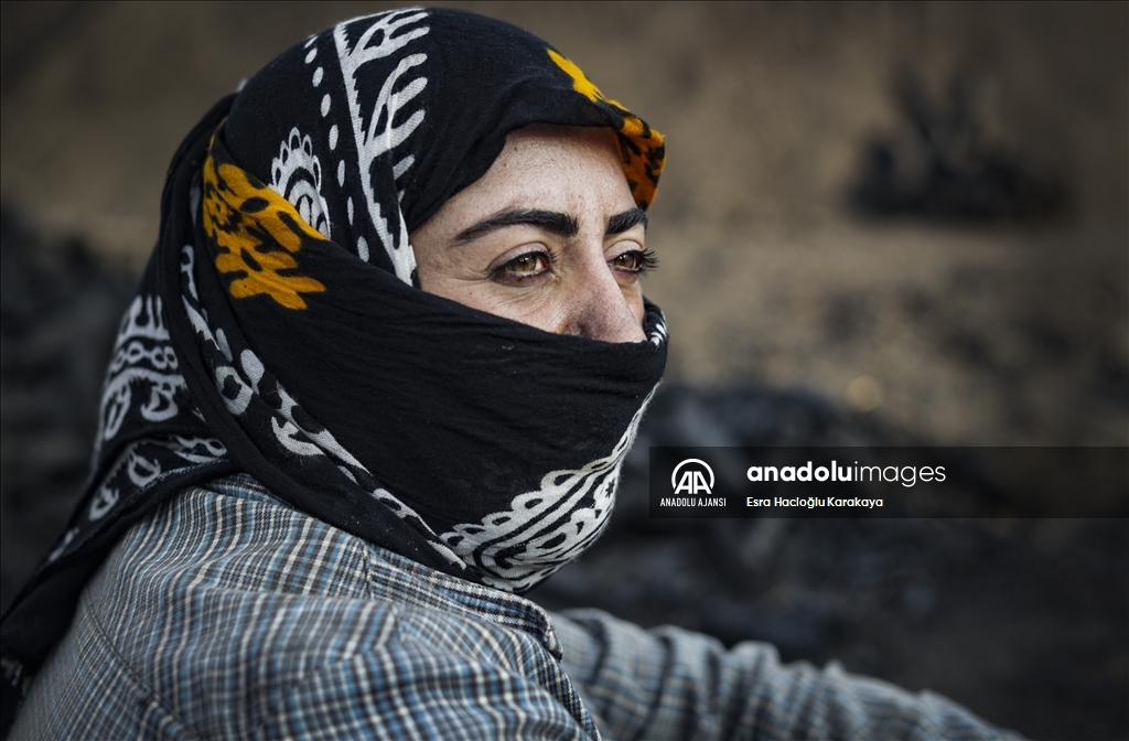 Torakçı kadınların mangal kömürü mesaisi