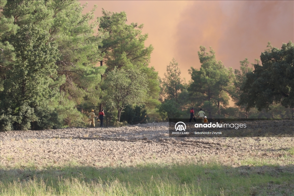 Denizli-Muğla sınırında çıkan orman yangınına müdahale sürüyor