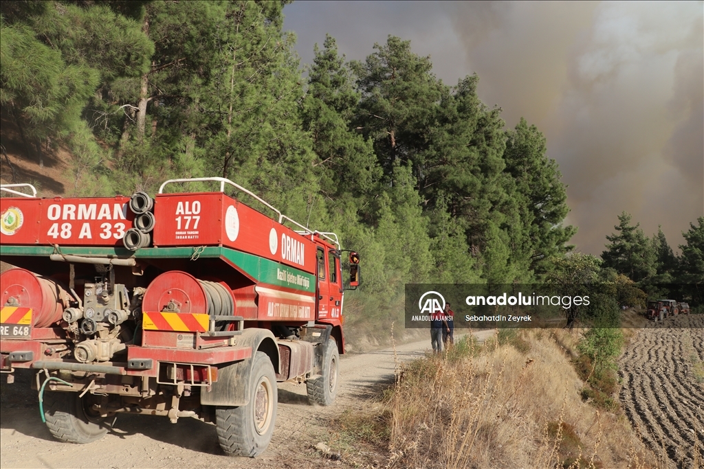 Denizli-Muğla sınırında çıkan orman yangınına müdahale sürüyor