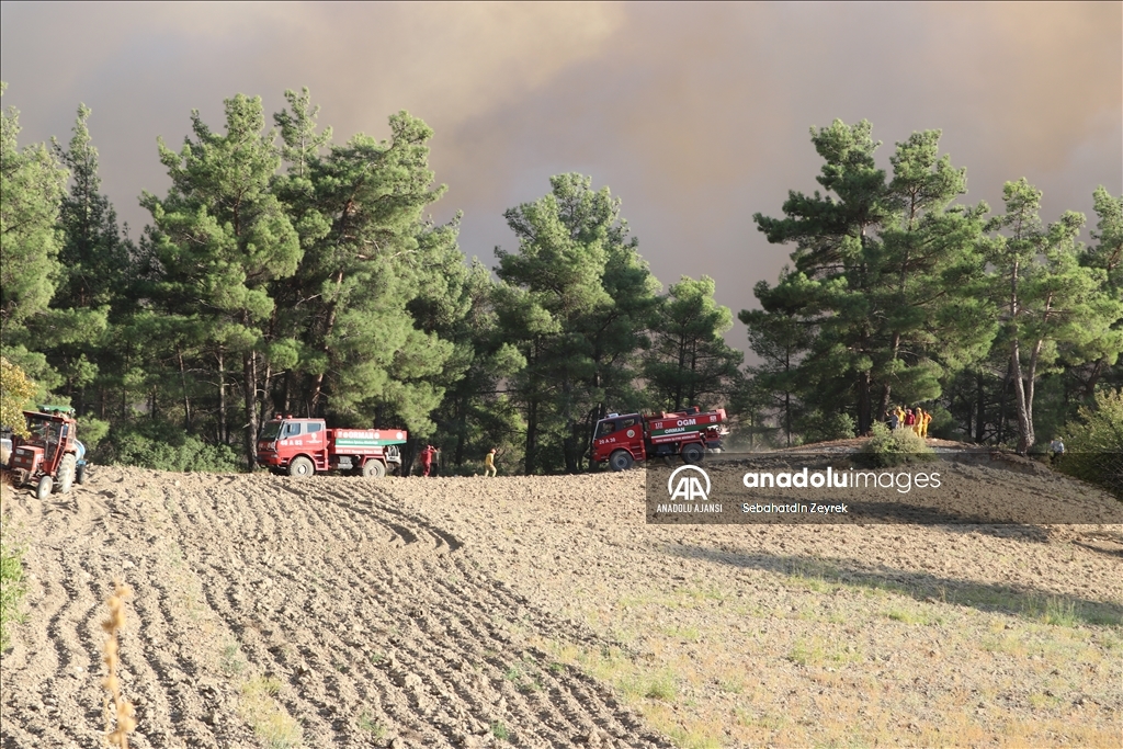 Denizli-Muğla sınırında çıkan orman yangınına müdahale sürüyor