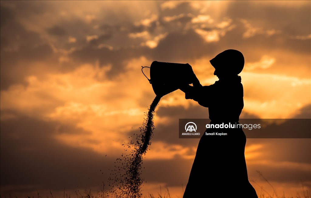 Karslı kadınlar rüzgara karşı "tahıl savurma" mesaisinde