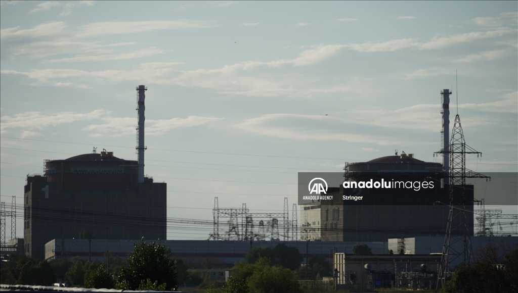 Operations at Zaporizhzhia nuclear plant completely halted: Ukraine