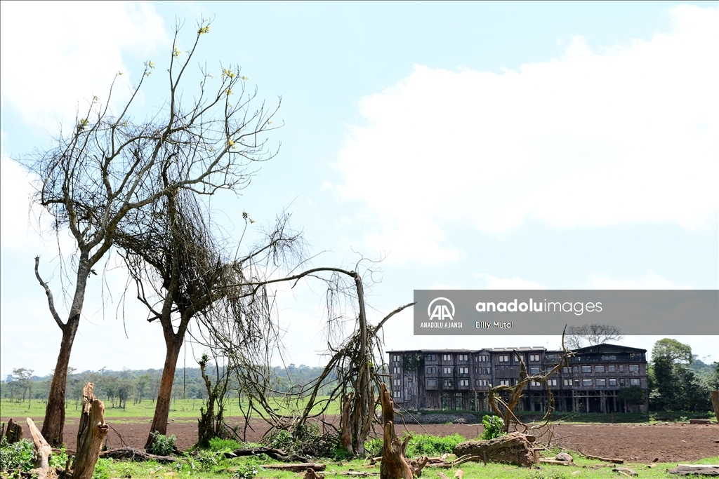 Elizabeth'in prenses olarak gelip kraliçe olarak ayrıldığı Kenya'daki otel: Treetops
