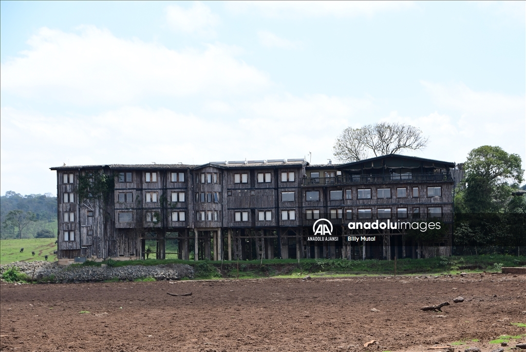 Elizabeth'in prenses olarak gelip kraliçe olarak ayrıldığı Kenya'daki otel: Treetops