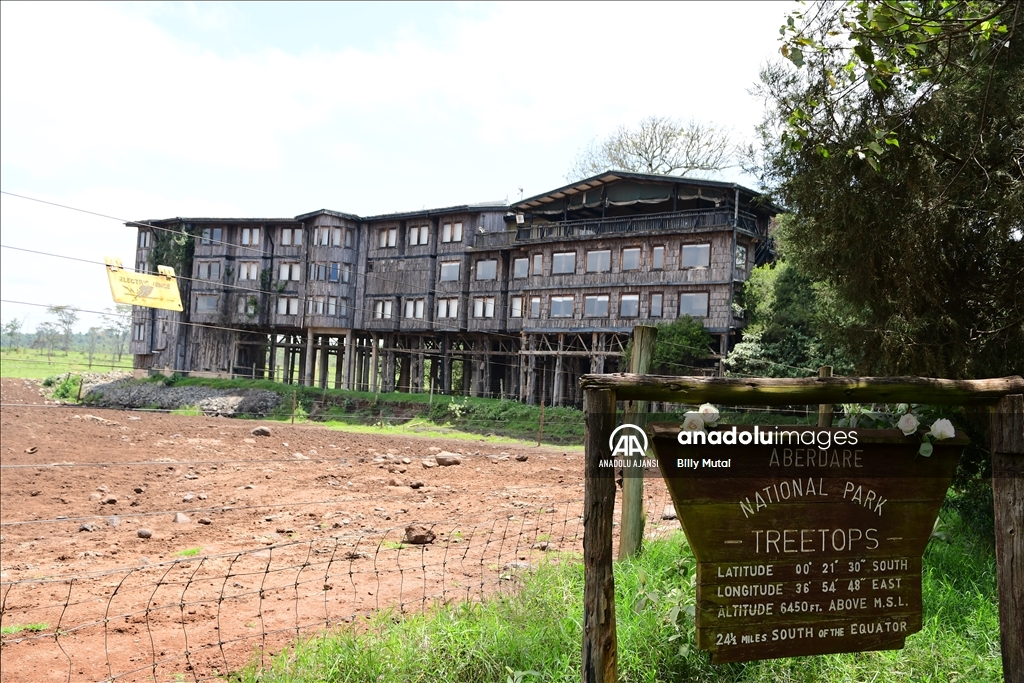 Elizabeth'in prenses olarak gelip kraliçe olarak ayrıldığı Kenya'daki otel: Treetops