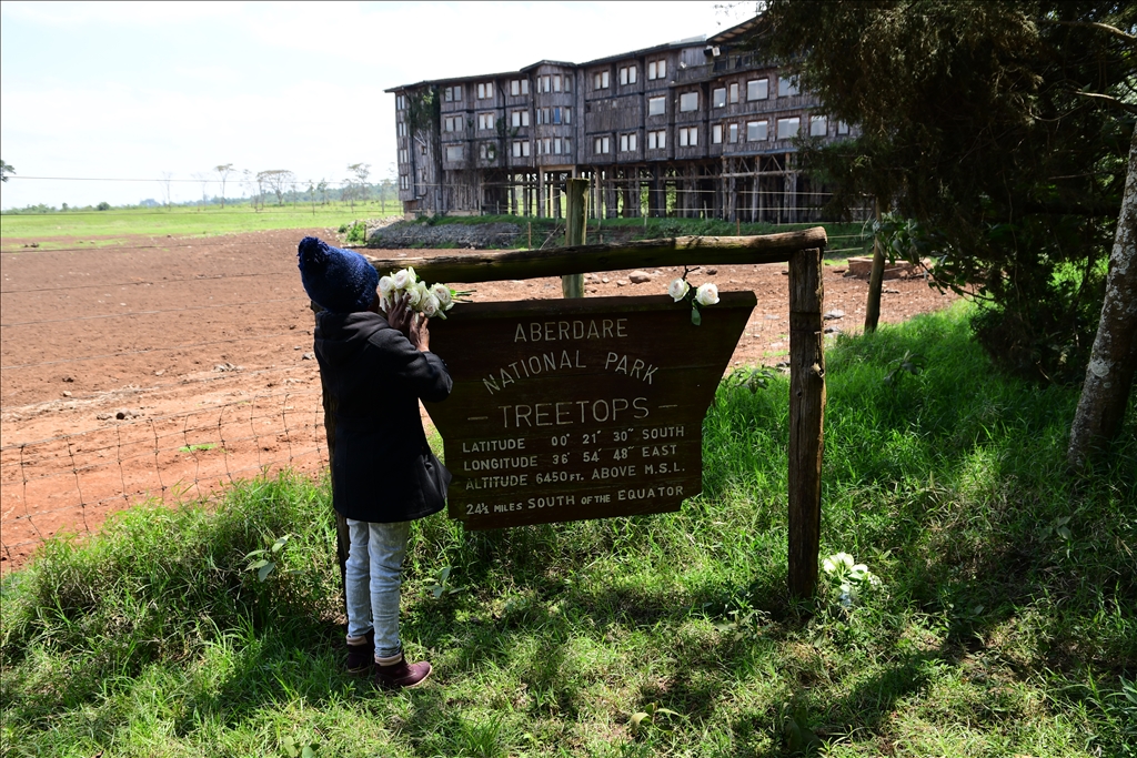 Elizabeth'in prenses olarak gelip kraliçe olarak ayrıldığı Kenya'daki otel: Treetops