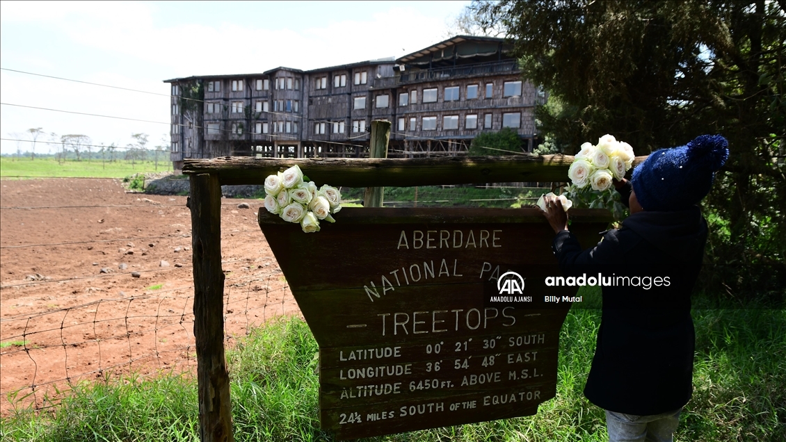 Elizabeth'in prenses olarak gelip kraliçe olarak ayrıldığı Kenya'daki otel: Treetops
