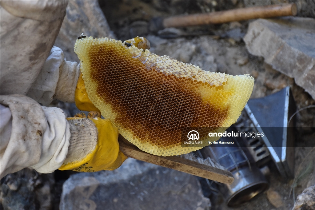 Hakkarili arıcının dağlardan güçlükle topladığı kaya balı ilgi görüyor