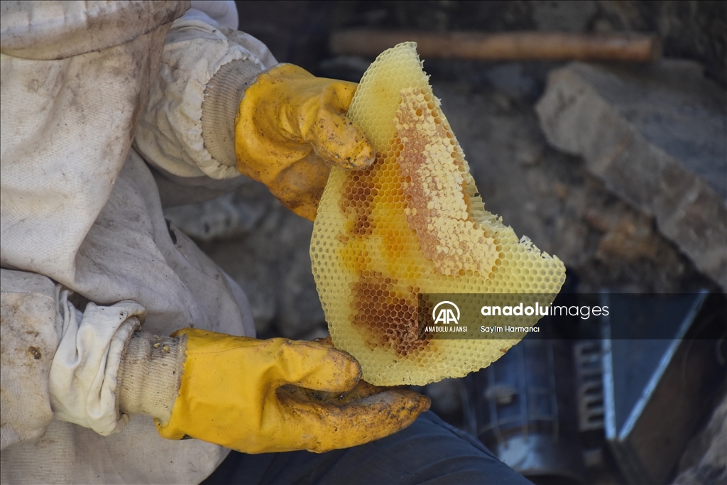 Hakkarili arıcının dağlardan güçlükle topladığı kaya balı ilgi görüyor