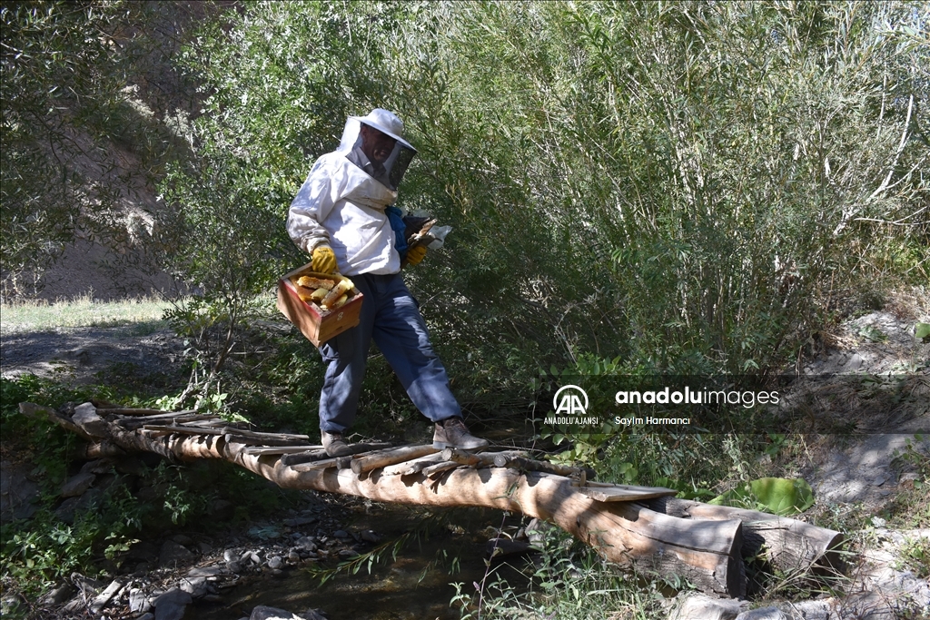 Hakkarili arıcının dağlardan güçlükle topladığı kaya balı ilgi görüyor