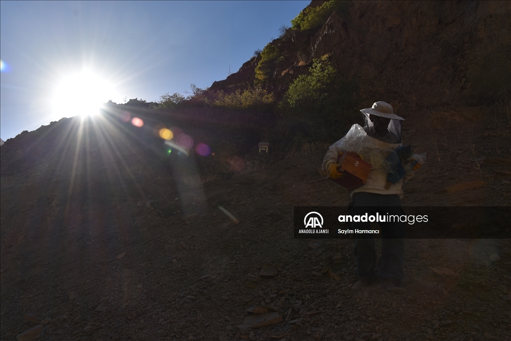 Hakkarili arıcının dağlardan güçlükle topladığı kaya balı ilgi görüyor