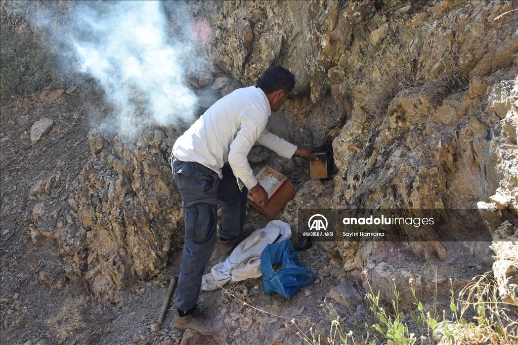 Hakkarili arıcının dağlardan güçlükle topladığı kaya balı ilgi görüyor