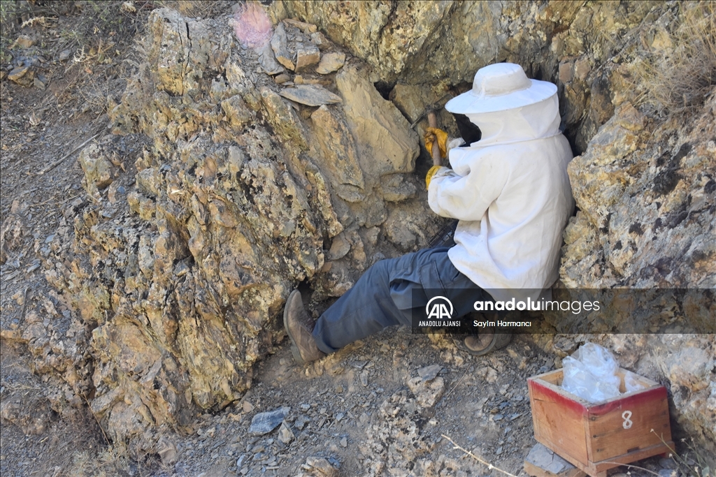 Hakkarili arıcının dağlardan güçlükle topladığı kaya balı ilgi görüyor