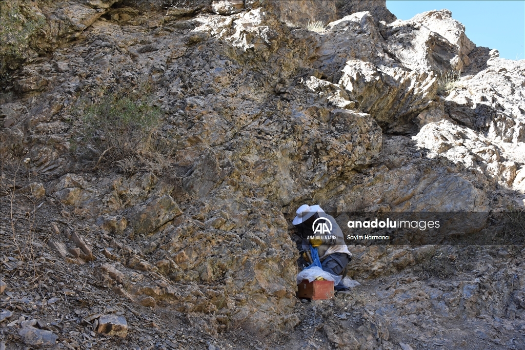 Hakkarili arıcının dağlardan güçlükle topladığı kaya balı ilgi görüyor