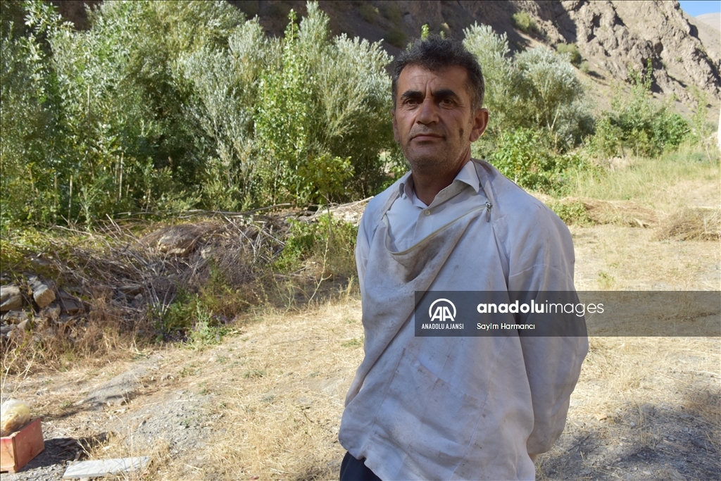 Hakkarili arıcının dağlardan güçlükle topladığı kaya balı ilgi görüyor