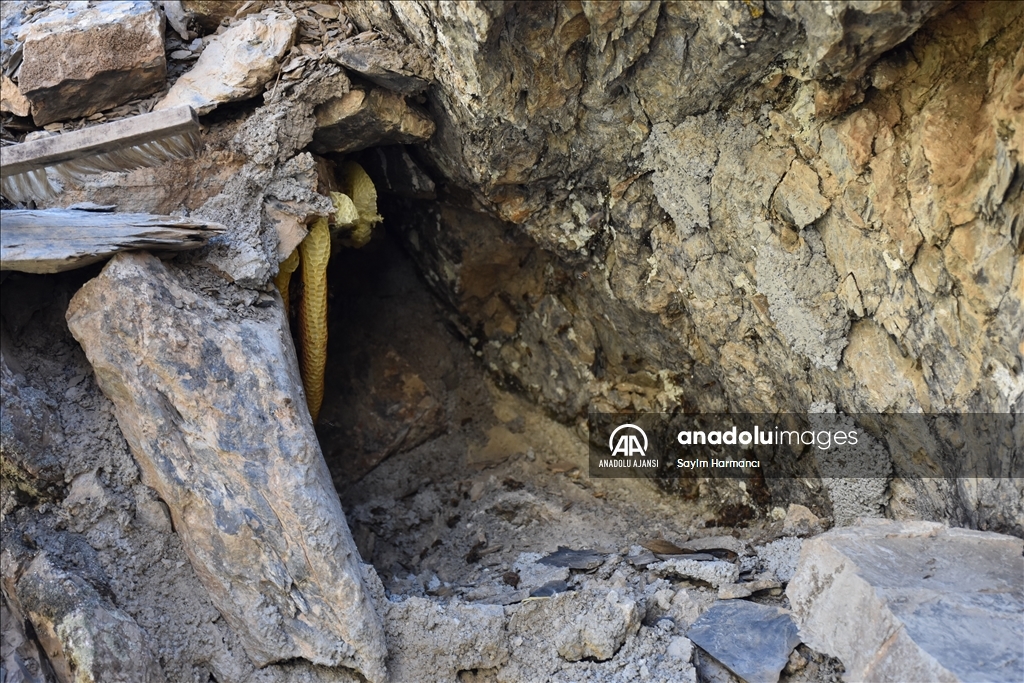 Hakkarili arıcının dağlardan güçlükle topladığı kaya balı ilgi görüyor