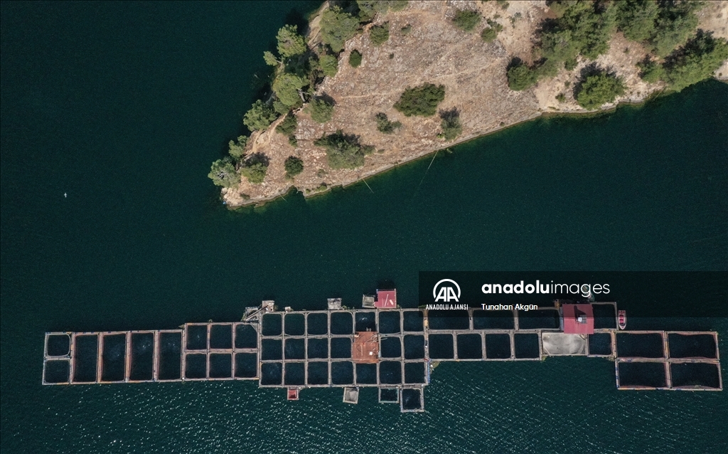 Denizi olmayan Kahramanmaraş balık ihracatında hedef büyüttü