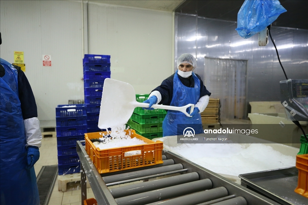 Denizi olmayan Kahramanmaraş balık ihracatında hedef büyüttü