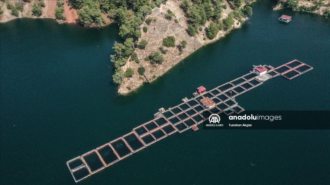 Denizi olmayan Kahramanmaraş balık ihracatında hedef büyüttü