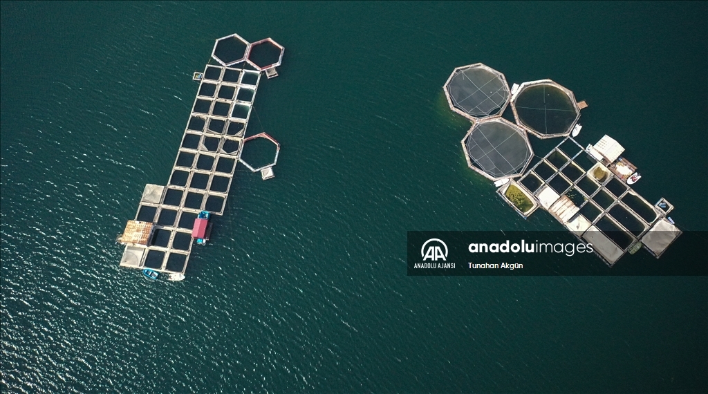 Denizi olmayan Kahramanmaraş balık ihracatında hedef büyüttü