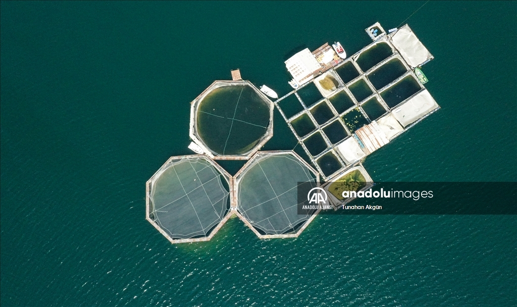 Denizi olmayan Kahramanmaraş balık ihracatında hedef büyüttü