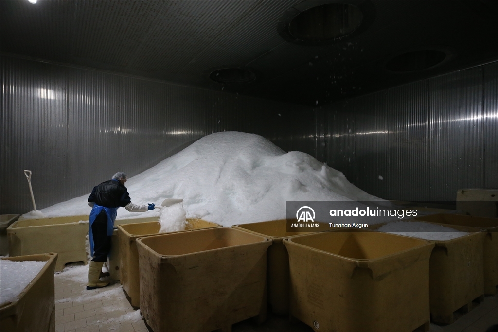 Denizi olmayan Kahramanmaraş balık ihracatında hedef büyüttü