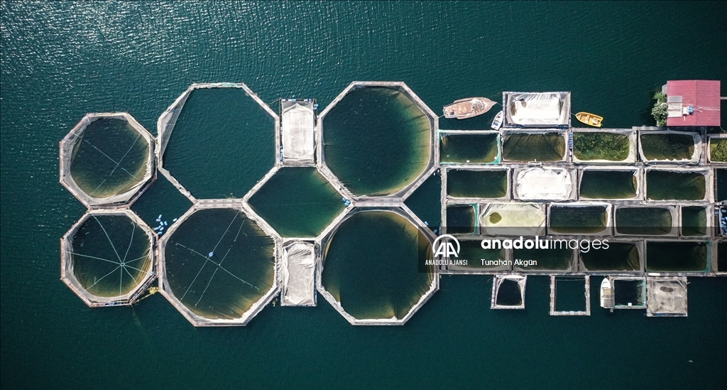 Denizi olmayan Kahramanmaraş balık ihracatında hedef büyüttü