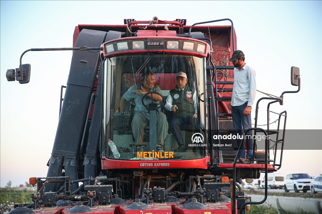 Adana'da pamuk hasadı etkinliği düzenlendi